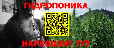 шишки Мариинск